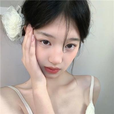 八公物语