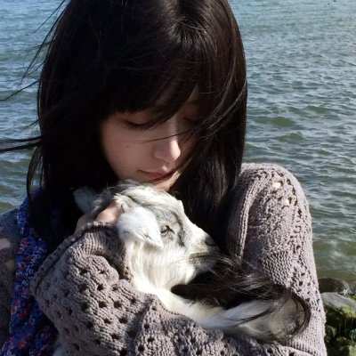 好莱坞巨猿